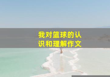 我对篮球的认识和理解作文