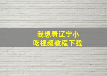 我想看辽宁小吃视频教程下载