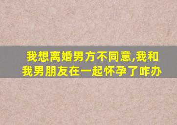 我想离婚男方不同意,我和我男朋友在一起怀孕了咋办