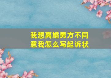 我想离婚男方不同意我怎么写起诉状