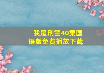 我是刑警40集国语版免费播放下载