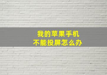 我的苹果手机不能投屏怎么办