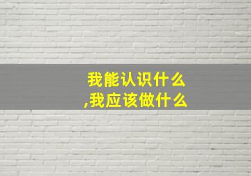 我能认识什么,我应该做什么