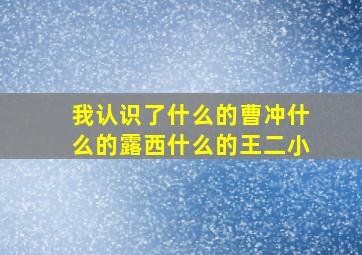 我认识了什么的曹冲什么的露西什么的王二小