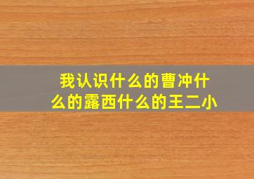 我认识什么的曹冲什么的露西什么的王二小