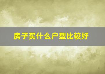 房子买什么户型比较好