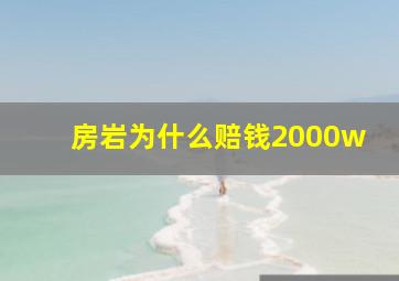 房岩为什么赔钱2000w