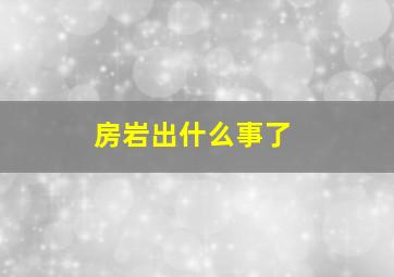 房岩出什么事了