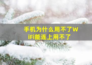 手机为什么用不了WiFi能连上用不了