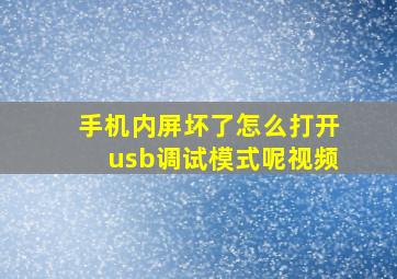 手机内屏坏了怎么打开usb调试模式呢视频