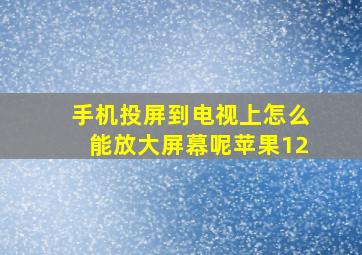 手机投屏到电视上怎么能放大屏幕呢苹果12