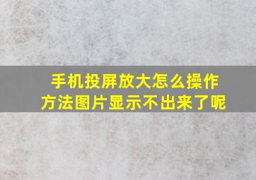 手机投屏放大怎么操作方法图片显示不出来了呢