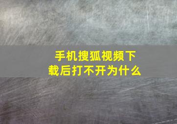 手机搜狐视频下载后打不开为什么