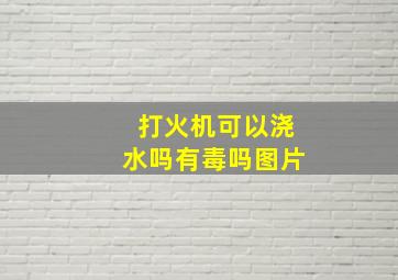 打火机可以浇水吗有毒吗图片