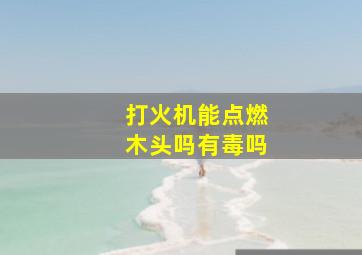 打火机能点燃木头吗有毒吗