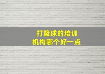 打篮球的培训机构哪个好一点