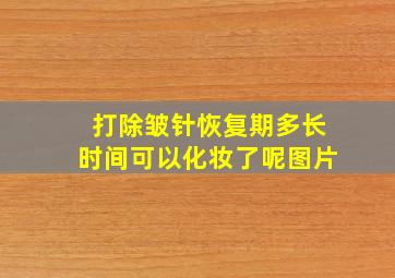 打除皱针恢复期多长时间可以化妆了呢图片