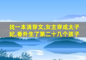 找一本清穿文,女主穿成太子妃,番外生了第二十几个孩子