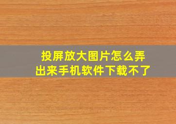 投屏放大图片怎么弄出来手机软件下载不了