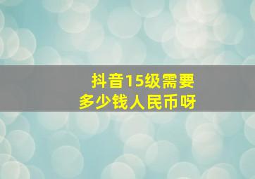 抖音15级需要多少钱人民币呀