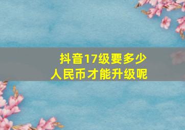 抖音17级要多少人民币才能升级呢