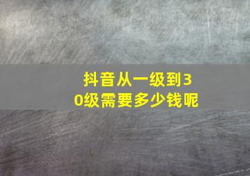 抖音从一级到30级需要多少钱呢