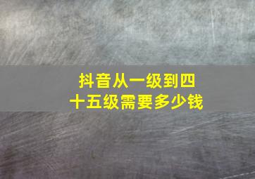 抖音从一级到四十五级需要多少钱