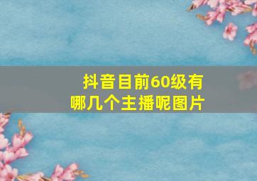 抖音目前60级有哪几个主播呢图片