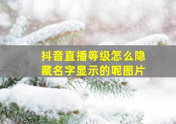 抖音直播等级怎么隐藏名字显示的呢图片