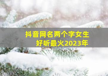 抖音网名两个字女生好听最火2023年