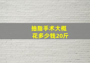 抽脂手术大概花多少钱20斤