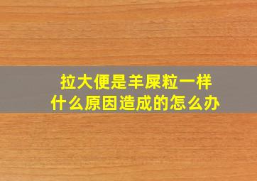 拉大便是羊屎粒一样什么原因造成的怎么办