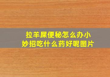 拉羊屎便秘怎么办小妙招吃什么药好呢图片