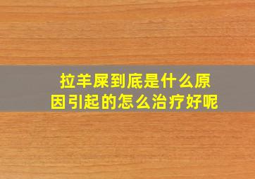 拉羊屎到底是什么原因引起的怎么治疗好呢