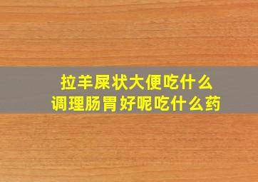 拉羊屎状大便吃什么调理肠胃好呢吃什么药