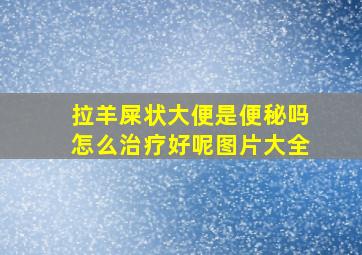 拉羊屎状大便是便秘吗怎么治疗好呢图片大全