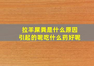 拉羊屎粪是什么原因引起的呢吃什么药好呢