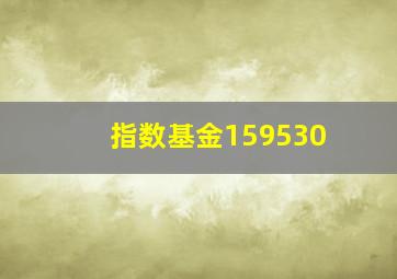 指数基金159530