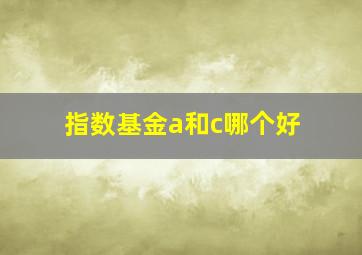 指数基金a和c哪个好