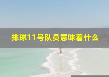 排球11号队员意味着什么