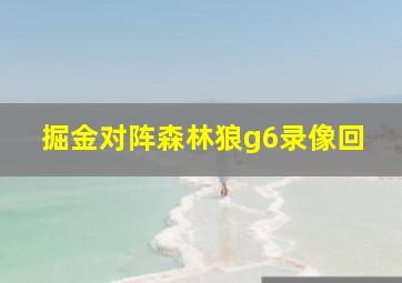 掘金对阵森林狼g6录像回