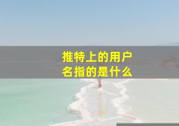 推特上的用户名指的是什么