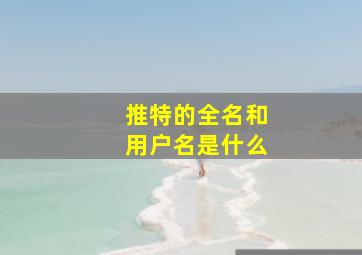 推特的全名和用户名是什么