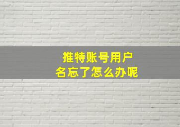 推特账号用户名忘了怎么办呢