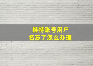 推特账号用户名忘了怎么办理