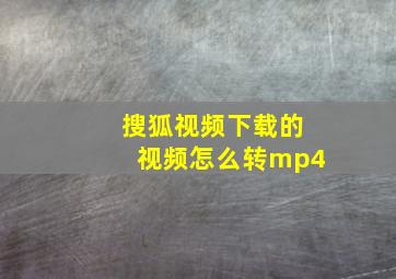 搜狐视频下载的视频怎么转mp4