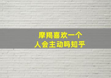 摩羯喜欢一个人会主动吗知乎