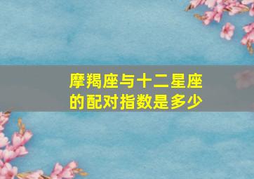 摩羯座与十二星座的配对指数是多少