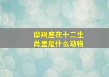 摩羯座在十二生肖里是什么动物