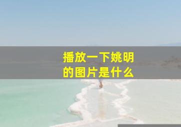 播放一下姚明的图片是什么